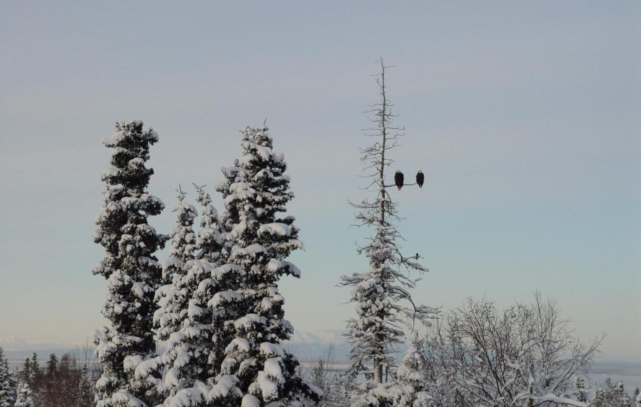Alaska Sundance Retreat Bed & Breakfast Anchorage Ngoại thất bức ảnh